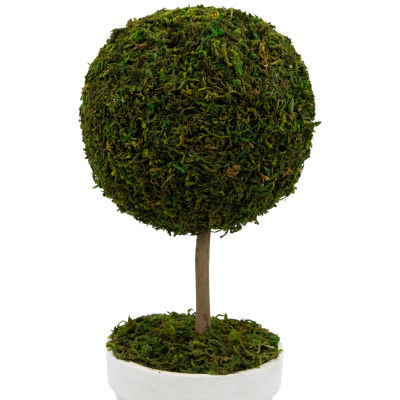 Northlight 16" Moss Ball Potted Tree Artificial Plant