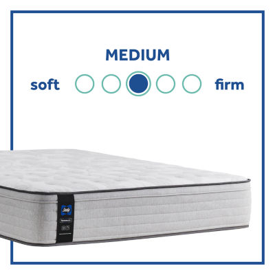 Sealy® Diggens Firm Euro Top - Mattress Only