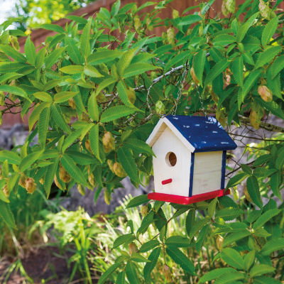 Toysmith Toysmith Paint A Bird Base (House) Craft Kit Outdoor Play Set