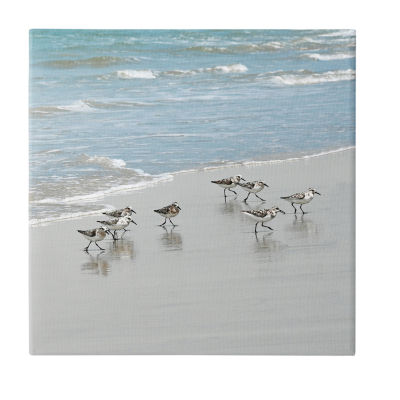 Stupell Industries Sandpipers Flock Sandy Beach Shore Canvas Art