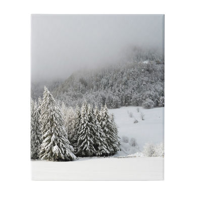 Stupell Industries Winter Snowscape Woodland Trees Canvas Art