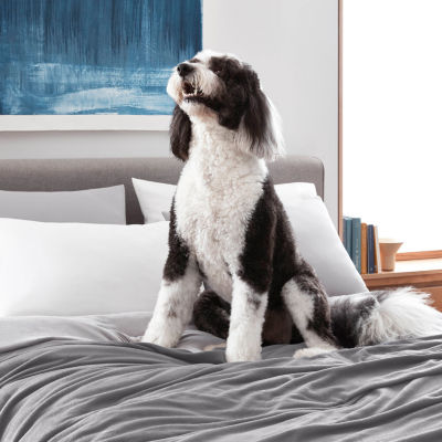 Martex Super Soft Fleece Blanket