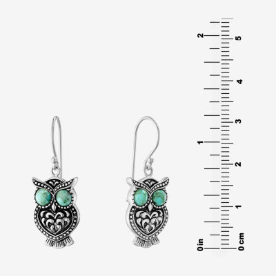 Enhanced Blue Turquoise Sterling Silver Drop Earrings