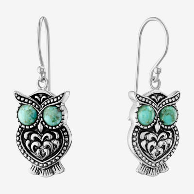 Enhanced Blue Turquoise Sterling Silver Drop Earrings