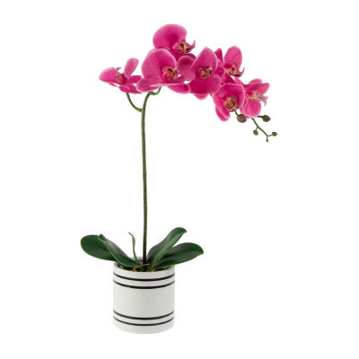 Northlight Orchids In A Ceramic Pot Artificial Plant