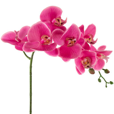 Northlight Orchids In A Ceramic Pot Artificial Plant