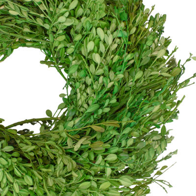 Northlight 15in Green Foliage Wreath
