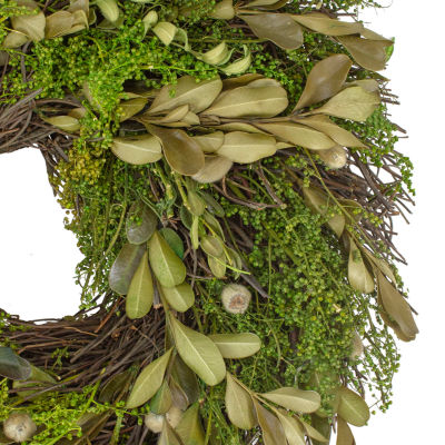 Northlight 10in Mixed Foliage And Willow Bud Indoor Christmas Wreath