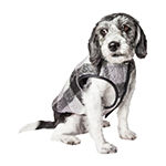 Pet Life ® 'Black Boxer' Classical Plaided Insulated Dog Coat Jacket
