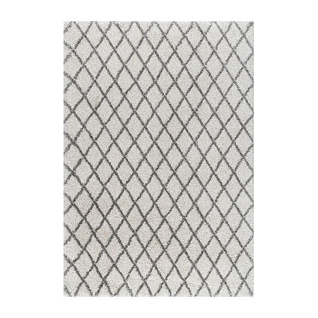 NuLoom Lenita Trellis Shaggy Rectangular Rug, One Size, White