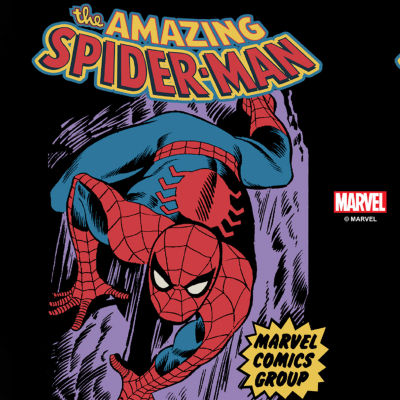 Disney Collection Spiderman Cover 17 Oz Stainless Steel Bottle