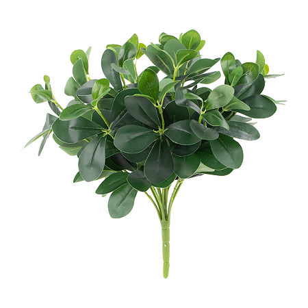 18'' Decorative Artificial Green Two Tone Polyscias Floral Bush, One Size, Green