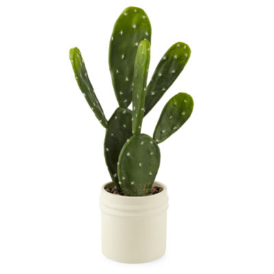 Distant Lands 20" Potted Cactus Artificial Plant