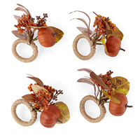 Linden Street Woodland Spice Pumpkin 4-pc. Napkin Rings, One Size, Multiple Colors