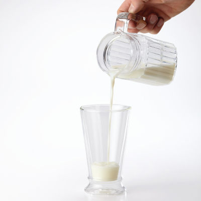 BonJour Rechargeable Primo Latte Frother