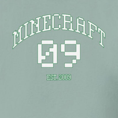 Little & Big Girls Round Neck Short Sleeve Minecraft Graphic T-Shirt
