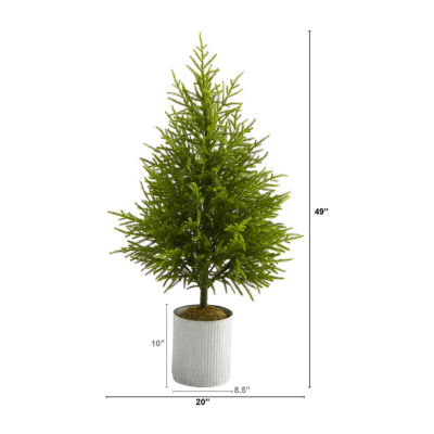 Nearly Natural Norfolk Island Pine 4 Foot Potted Pine Christmas Tree