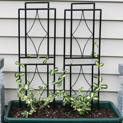 Net Health Shops Contemporary Metal 2-pc. Garden Trellis