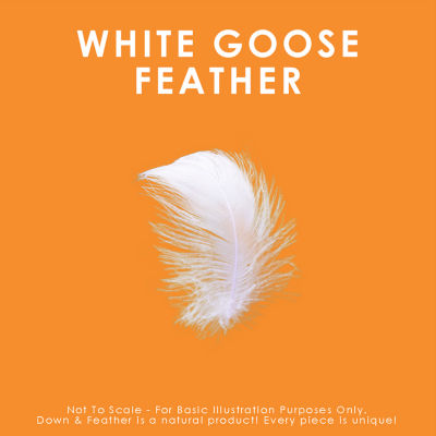 Canadian Down & Feather Company White Goose Duvet