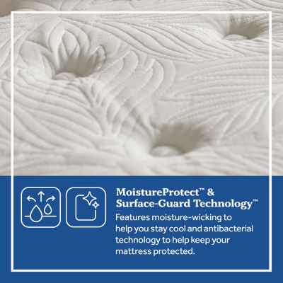 Sealy® Forsythia Medium Tight Top - Mattress Only