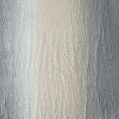 Achim Ombre Rod Pocket Light-Filtering Single Curtain Panel