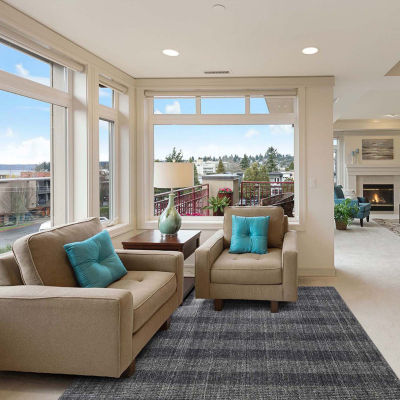 Amer Rugs Berkeley Shaun Plaid Indoor Rectangular Accent Rug