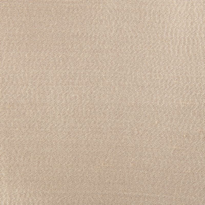 Liz Claiborne Supreme Pinch Pleat Back Tab Light-Filtering Single Curtain Panels