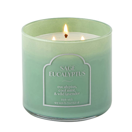 Distant Lands 14oz Sage Eucalyptus 3-wick Scented Jar Candle In Green