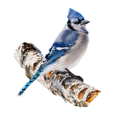 Madd Capp Blue Jay 300 Piece Jigsaw Puzzle Puzzle