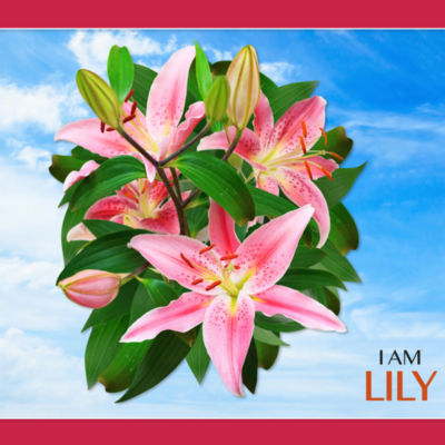 Madd Capp Lily 350 Piece Jigsaw Puzzle Puzzle