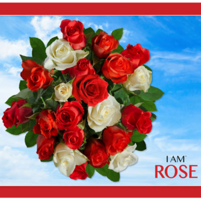 Madd Capp Rose 350 Piece Jigsaw Puzzle Puzzle