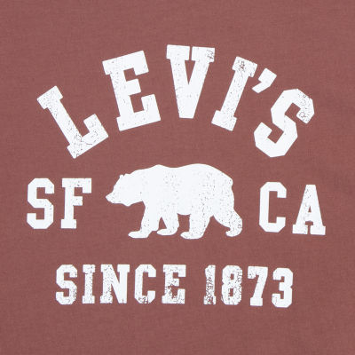 Levi's Big Boys Crew Neck Short Sleeve Graphic T-Shirt