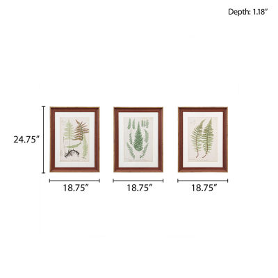 Martha Stewart Lady Fern Collection Botanical Illustration 3-pc. Wall Art Sets