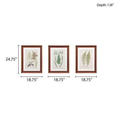 Martha Stewart Lady Fern Collection Botanical Illustration 3-pc. Framed Wall Art Sets