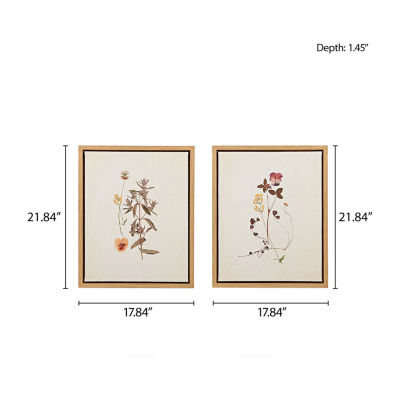 Martha Stewart French Herbarium 2-pc. Wall Art Sets