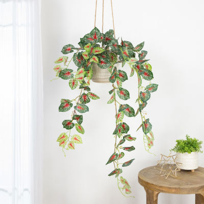 39.5'' Green and Red Artificial Caladium Floral Hanging Bush