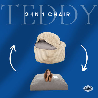 Sealy® Teddy 2-in-1 Memory Foam Bean Bag Chair