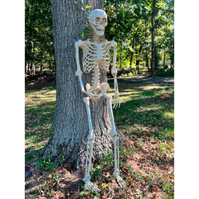 Unisex Adult 60" Posable Skeleton" Costume Accessory