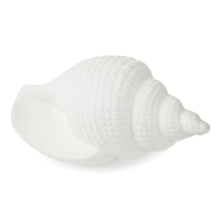 Liz Claiborne Coastal Shell Decor, One Size , White