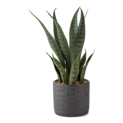 Distant Lands 15" Faux Snake Artificial Plant, Color Green JCPenney
