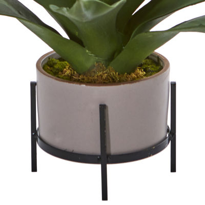 14 Agave Succulent in Decorative Planter