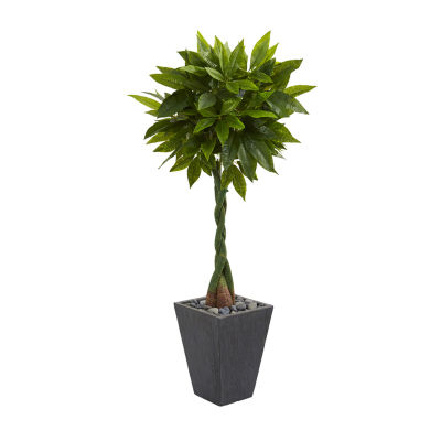 5’ Money Artificial Tree in Slate Planter (RealTouch)