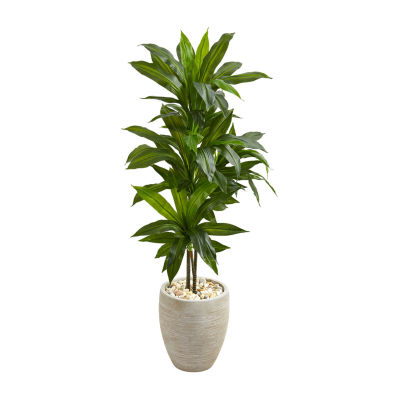 Plant PLANT pianta finta 92945