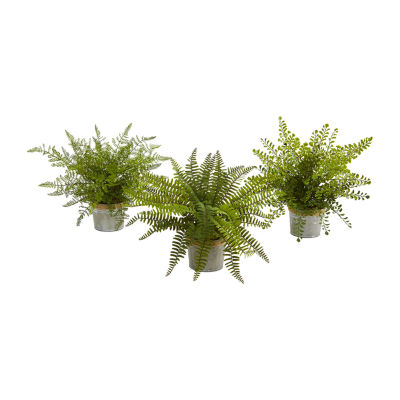 14” Assorted Ferns with Planter Artificial Plant; Set of 3