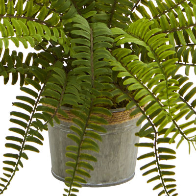 14” Assorted Ferns with Planter Artificial Plant; Set of 3