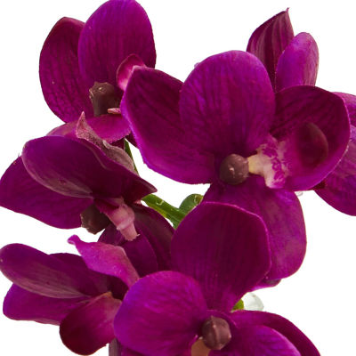 9” Phalaenopsis Orchid Artificial Arrangement inVase; Set of 3