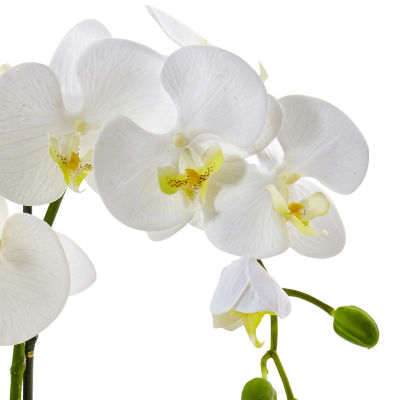 Nearly Natural Phalaenopsis Orchid In Ceramic Pot Artificial Flowers