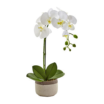 Nearly Natural Phalaenopsis Orchid In