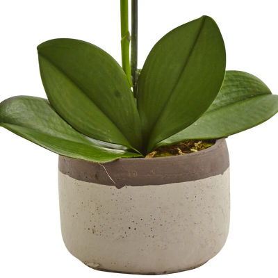 Nearly Natural Phalaenopsis Orchid In Ceramic Pot Artificial Flowers