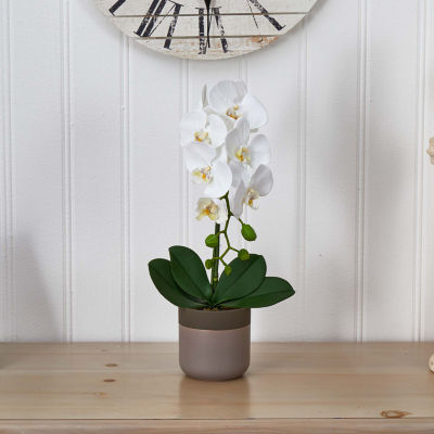 Nearly Natural Phalaenopsis Orchid In Ceramic Pot Artificial Flowers